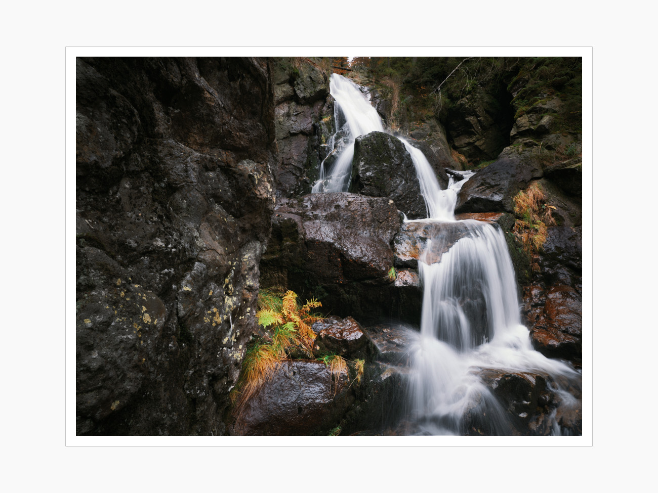 Max Schiefele Alle Bilder  DSF3776